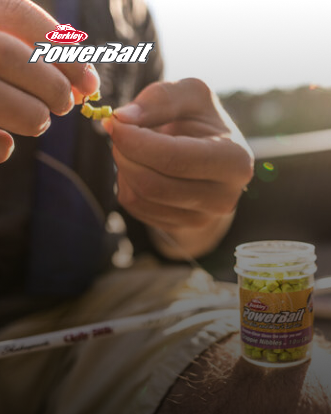 Hand putting Power Bait dough on line